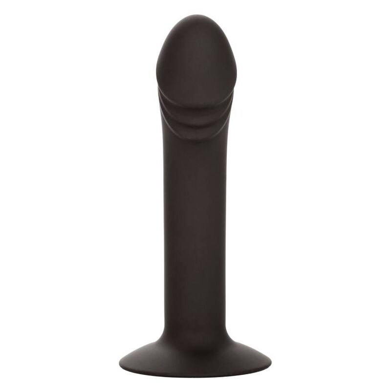 CALEXOTICS - ESTUDIO ANAL CURVO