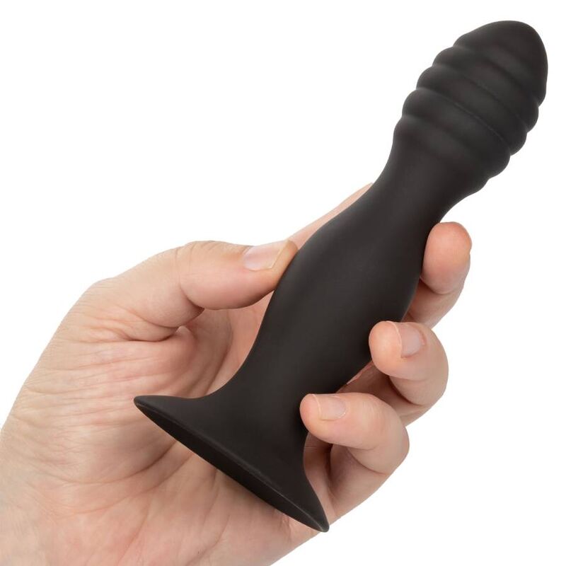CALEXOTICS - ESTUDIO ANAL ACANALADO