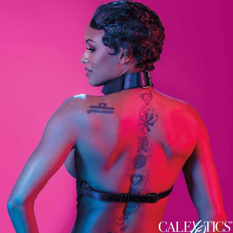 CALEXOTICS - ARNÉS COLLAR MULTICADENA EUPHORIA