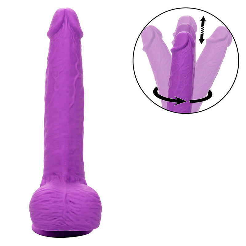 CALEXOTICS - VIBRADOR ROTATIVO Y RECARGABLE STUDS 10 VIBRACIONES MORADO
