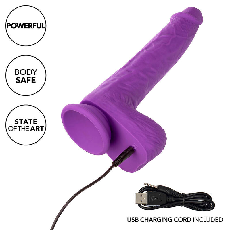 CALEXOTICS - VIBRADOR ROTATIVO Y RECARGABLE STUDS 10 VIBRACIONES MORADO